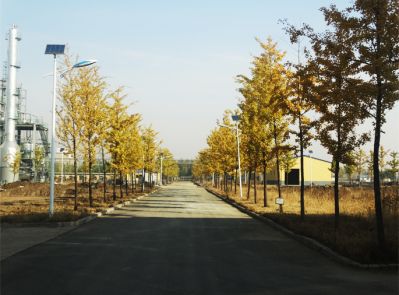 廠(chǎng)區風(fēng)貌